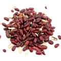 Best selling split kidney bean the not complete kidney bean